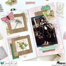 Load image into Gallery viewer, Specimen Slide Die 3x3"