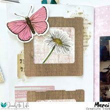 Load image into Gallery viewer, Specimen Slide Die 3x3"