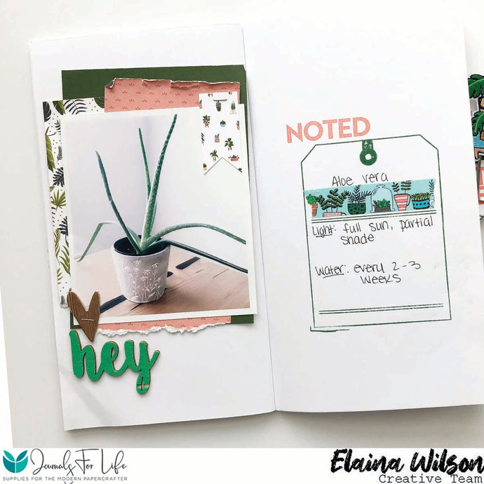 Elaina's Plant Diary Gallery