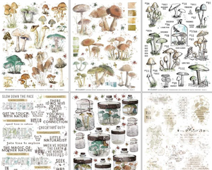 49 & Market Nature Study Mushrooms Rub Ons